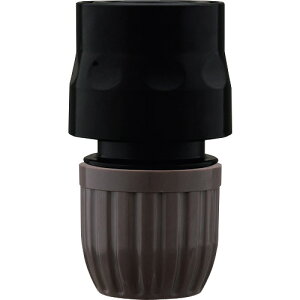 ^JM RlN^[(BK)+ObNibg(DBR) XGZ0211 |pi z[X Upi z[X(s)