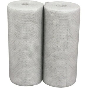 ���{ �X�N���u���C�p�[PRO 20×20cm 50���� 2�{�p�b�N SWR2020 ���| �q���p�i ���|�p�i �E�G�X(����s��)