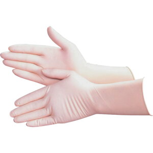 MAX CLEAN ebNXN[ XS 1000 MAX2500XS ی Ǝ N[[p(s)yz