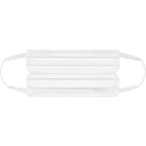 IRIS 290853 ナノエアーマスク ふつうサイズ 30枚入 PKTN30L 保護具 マスク 耳栓 一般作業用マスク(代引不可)