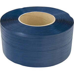 ϐ @pTCNPPoh GR^[ RX-EC 12X3000m AI 12RXECB pi pi PPoh(s)yz