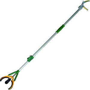 i ތN 502952 | qpi |pi S~͂ a炦(s)yz