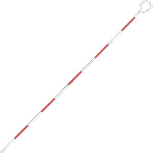 V s|-X`[100cm 76979  vpi ʗpi W(s)