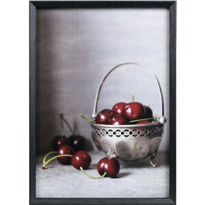 Kenko 1250343 _CNgt[ xWF A3 ubN EBE-A3-BK EBEA3BK ItBX Zݗpi ItBXi f(s)yz