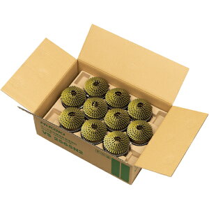 HiKOKI 釘 工機ホールディングス 金物 建築資材 ねじ ボルト ナット 釘 VS2565N2(代引不可)【送料無料】