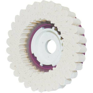 y5ZbgziZ SG RbgfBXN 100pC SGCD100 dEE󈳍H 팤pi tFgfBXN(s)yz