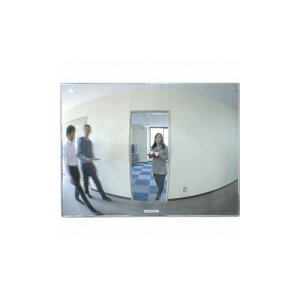 �R�~�[ FF�~���[�ʘH(���E�p) 650×485 FT65 �R�~�[(��) ���S�p�i ���S�~���[(����s��)�y���������z