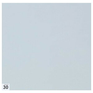TRUSCO GA[V[pSV[g(iV) 300X300 30 Sx  ASSF3030W pi pi N[[֘Api GAV[(s)