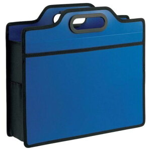 CI ItBXLOobO rWJ u[ 12901 BK353BB ItBX Zݗpi ItBX Zݗpi [ ރP[X obO(s)