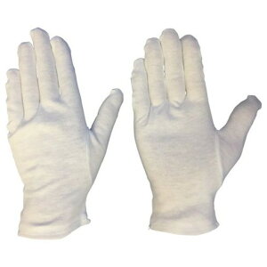 uXg ȃXX M (12o) BSC1M ی ی Ǝ ׂ~ߔw(s)