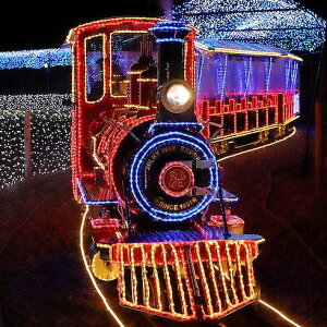 gCg LED`[uXgO Lh L5000 gCg NTCC116530P2 H Ɩpi Ɠ Ɩpi Ɩ(s)yz