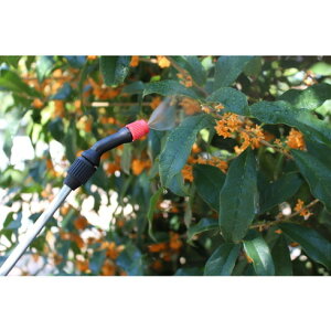 _ ~nCp[ 4L _ NO4000 |pi Ήpi (s)