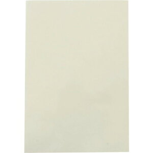 WAKI VR[fޗpʃV[g 100×150mm WAKI WNT001 pi e[vpi HƗp vpʃe[v(s)