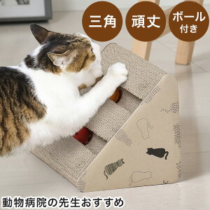 ܂Ƃ L {[t a@̐搶 Op _{[  킢 i{[  KK ˂ ߂Ƃ ܌ ybgpi XgXU(s)y|Cg10{zyz