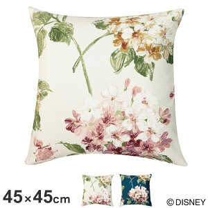 fBYj[ NbVJo[ 45×45cm AX AWTC DISNEY 􂦂 EHbVu LN^[ k 킢  (s)yz