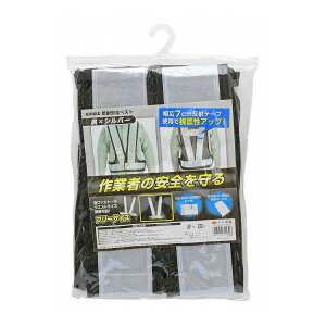 TAKAGI ˈSxXg ×Vo[(s)y|Cg10{z