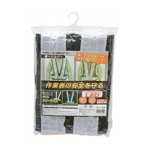 TAKAGI LEDˈSxXg ×Vo[(s)y|Cg10{z