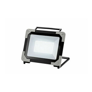EARTH MAN LED ���[�N���C�g100W WLT-100LA(����s��)�y�|�C���g10�{�z�y���������z
