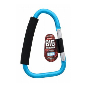 TAKAGI �r�b�O�J���r�i 200mm �u���[(����s��)�y�|�C���g10�{�z