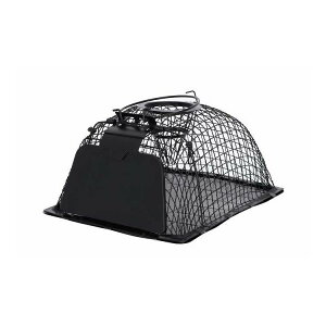 TAKAGI ubNlY~߂h[^ (s)y|Cg10{z