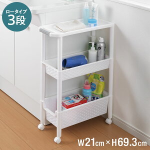 21cm Ԏ[ XSbN3i TL-08 Lb` q h[  ʏ  [ ړ LX^[t R oXPbg  y ItBX(s)yz