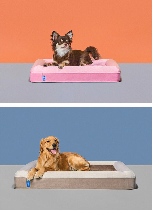 楽天市場】ペットベッド 犬 ベッド 大型犬 超大型犬 老犬 成犬 子犬 
