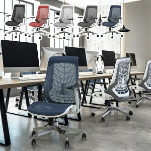 y@ll̔z ItBX`FA tbV`FA GXg}[bV̗p ItEwbhXgȂ^Cv NCjO fXN`FA p\R`FA bLO(s)