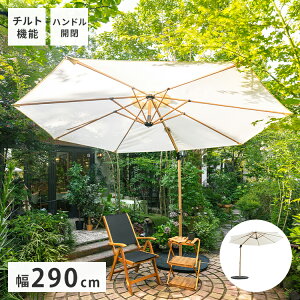 �n���M���O�p���\�� �K�[�f���p���\�� 300cm �P�i �i�`������ �ؖڒ� ��^ �p���\�� �傫�� ���悯 �T���V�F�[�h ������ �e���X �G�N�X�e���A �x�����_ �� �K�[�f���t�@�j�`���[(����s��)�y