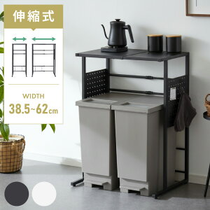 �S�~���ド�b�N �L�k�^�C�v ��38.5cm~��62cm 45L�S�~��×2�p �L�b�`���X�y�[�X���b�N 1�i �L�b�`�����b�N ���ݔ��ド�b�N �S�~�����b�N ���ݔ����b�N ���ݔ��ド�b�N �S�~������[ �X�`�[����