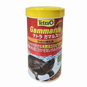3 eg K}X 50g(RGr̊a) 70198(s)y|Cg10{z