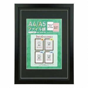 A4/A5ファイル額OAサイズ兼用 BK 106584(代引不可)【ポイント10倍】