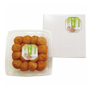 IBY z~ Ỉ 500g 2120505 o 񂹃O O Mtg 蕨 iy|Cg10{zyz