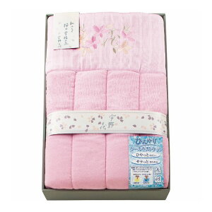 apide ЂLgPbg F UCCQ-600 Pbgށy|Cg10{zyz