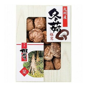 ��B�Y���؂ǂ񂱒ő�SPD-20 2671-012(����s��)