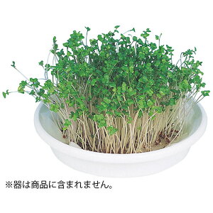 �y10�Z�b�g�z ARTEC ���k�͔|���j�b�g �u���b�R���[�X�v���E�g ATC102969X10(����s��)�y���������z