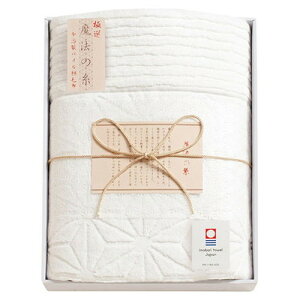 ɑI @̎ pCȖѕz 22316101(s)yz