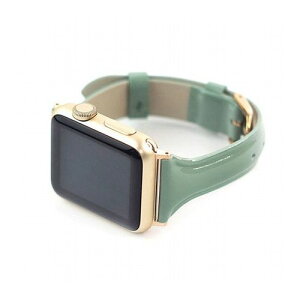 WEARPLANET Slim Line {v Gioh for Apple Watch 41/40/38mm XO[ WP23101AWGR X}[gtH ^ubg gѓdb iPhone Apple WatchpANZT(s)y[֔zzyz