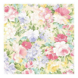 y (S)(50) 22459105 G zr[ CeA G Gݕi(s)yz