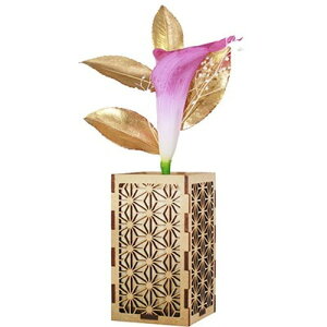 A&K ֑} v`J[[ ԗ Jo[tZbg P-015 G(s)yz