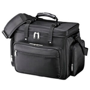 TTvC vWFN^[obO BAG-PRO2Nyz