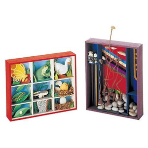 �y5�Z�b�g�z ARTEC �{�b�N�X�A�[�g �� ATC13620X5 �G��(����s��)�y���������z