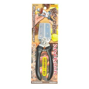 p[ ֗ IV \tgObv C-3809 Lb`G(s)y[֔zzyz