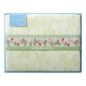 EFbWEbh ChXgx[ ^IPbg O[ 140×190cm C6084535(s)yz