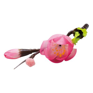 }R[ p Ɩp lG̉Ԃ  (100) yamaco64330(s)yz