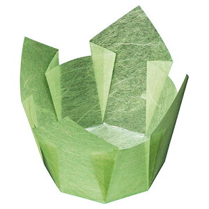 }R[ p Ɩp OP ᑐ_  (100) yamaco66403(s)yz