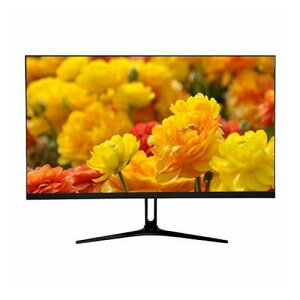 WIS 23.8�C���`�Q�[�~���O���j�^�[ 165Hz�����t���b�V�����[�g MRPT1ms�����������x�Q�[�~���O���j�^�[ �m���O���A(�����) AS-G238(����s��)�y���������z