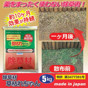  ށu͂ꂿv5kg 801544yz