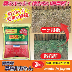  ށu͂ꂿv3kg 877365