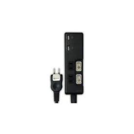 HIDISC ハイディスク 延長コード USB 2ポート付 節電 タップ ( 独立 スイッチ付 ) 2個口 + 2USB ブラック HDUTC2U2B(代引不可)
