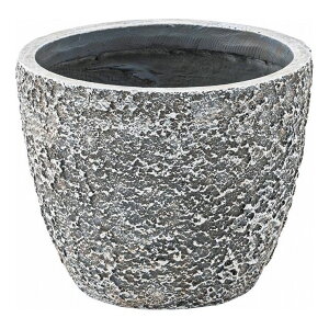 �O���[���x�[�X ��25×���s25×����20 �_���}�O�l�V�E�� 5���p(����s��)�y���������z